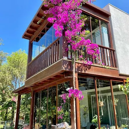 Villa Jasmin Villa Best *